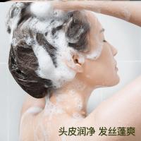 辛有志洗发露无患子平衡净屑洗发露720g 男女士辛选洗发膏洗发水