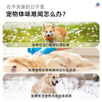 宠物猫咪狗狗免洗手套猫专用清洁干洗用品湿巾除臭擦屁股身体