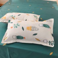 仙人掌 一只装[实发一只枕套] 亲肤水洗棉高支高密枕套枕头套成人一对装学生枕套枕芯套单人枕套