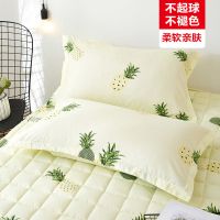 波罗 枕套48*74cm(一只装)不起球 枕套不褪色枕头套双人单人学生宿舍枕芯套48x74cm一对拍2