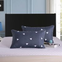 三角图形[拉链款] 枕套1个(没有枕芯) 枕头成人护颈单人枕头芯套装一对单人一只枕芯带枕套学生宿舍可爱