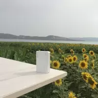 白色 10000毫安 10000毫安时充电宝超薄小巧便携迷你移动电源适用华为苹果