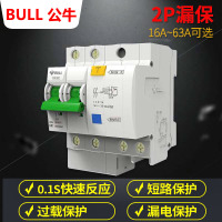 16A 2P 2P漏电63A总开关保护器家用带漏电过载保护断路器32A空气开关