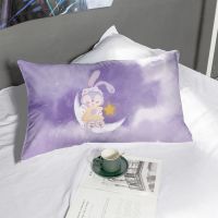 BHZHQ53 30*50(枕套一个) 星黛露卡通单品枕套儿童学生宿舍枕巾床上用品枕头套一对单个