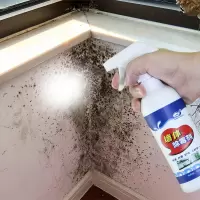 墙体除霉王墙面发霉去霉菌霉斑清除剂白墙防霉去污神器家用去霉剂