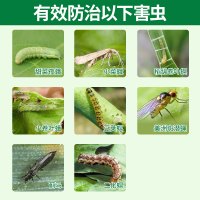 10ml 陶氏益农乙基多杀菌素升甜菜夜蛾小菜蛾蓟马杀虫剂100ml