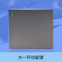 大一开按钮 壁虎灰色118型三位九孔开关面板多功能连体排插家用电源插座套装