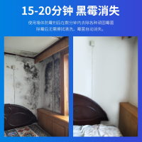 龙升墙体除霉剂日本木材墙布墙体墙面墙壁清洁剂去霉斑霉菌去潮