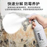 墙体霉斑菌家用墙壁发霉清除剂霉点清洁北广好利佳好丽佳