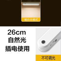 26cm单色自然光[插电款] 触摸开关 宿舍led灯条护眼学习专用灯遥控充电池灯管台灯阅读书桌磁铁吸附