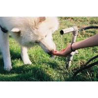 胶卷胶片富士SP2000冲扫冲洗扫描一次性相机lomo傻瓜机sp3000