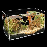 透明 10*10*10厘米 亚克力水族箱鱼缸长方形客厅办公室小型桌面创意裸缸超白金鱼缸