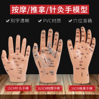推拿手+按摩手+针灸手 送手部穴位挂图 身体穴位经络图中医小儿推拿按摩书教学月嫂培训娃娃模型宝宝保健