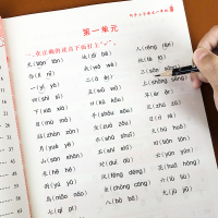 读音选择 读音选择专项训练一年级拼音拼读书写练习练习册拼音学习神器手册大班幼小衔接幼儿学前班声母单韵母汉语学习幼升小练习