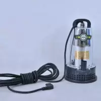 12V水泵一个(不含电瓶等任何配件) 充电水泵便携式家用户外浇菜电瓶抽水泵电瓶泵充电浇菜浇水泵农用