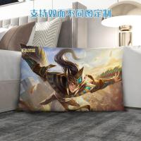 王者荣耀云中君老夫子8号 35x35厘米抱枕(5-7岁用) 王者荣耀云中君老夫子抱枕空调被汽车家用两用靠垫靠背午睡被