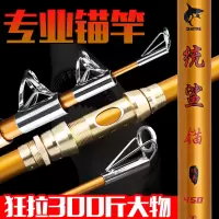 2.4米单竿 统鲨超硬锚鱼杆爆力可视锚竿 远投竿 碳素海竿 钓鱼竿 抛竿 套装