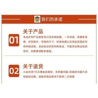 收藏加购优先发货 时光学词语贝雪控笔训练时光学小学生幼儿园字帖点阵全套8本画笔6