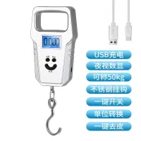 超大手柄银色[充电款] 手提秤电子秤家用精准称菜克秤小称计价秤小型弹簧秤厨房50公斤