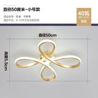 拉丝金 直径50cm 白光40W 卧室灯 简约现代吸顶灯北欧温馨浪漫花形灯具个性创意led房间灯