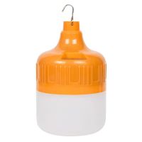 标配款-USB线 80W锂电 充电led灯泡超亮节能无线夜市摆摊家用户外工地停电应急照明灯