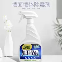 [体验装]1瓶 墙体墙面墙壁除霉剂去霉菌家具木材长霉衣柜发霉去霉点霉斑清洁剂