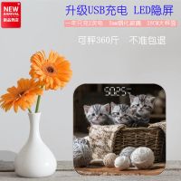 28*28CM 三只小猫(LED隐形屏) 体重秤电子秤体重家用人体秤电子称体重电子秤家用学生宿舍精准