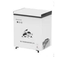 华洋BD/BC-160C 160升 单温冰柜铜管