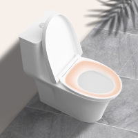 ARROW箭牌/智能坐便器盖板/AK1018/DJ