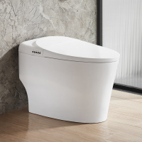 ARROW箭牌/智能座便器/AKB1512-U/DJ