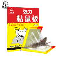 圣威丁 粘鼠板 强力粘鼠板 005款 200*150mm 一块