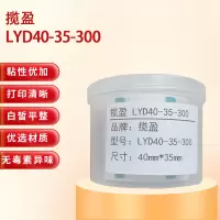 揽盈 LYD40-35-300 40mm*35mm打印标签 300张/盒(计价单位:盒) 绿色