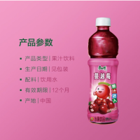康师傅蔓越莓果汁饮料500ml