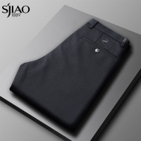 圣吉奥男装西裤男轻奢商务休闲裤2021秋冬免烫抗皱修身直筒男裤子
