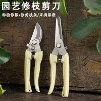 家用果树剪刀修枝神器剪花卉摘果剪树枝剪刀绿化嫁接园林园艺剪刀