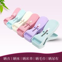 宿舍塑料小夹子夹内衣内裤袜子夹固定防风晾衣夹防滑晾晒夹12个装衣架