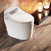 ARROW箭牌卫浴全自动智能马桶家用一体速热式冲洗烘干坐便器AKB1308