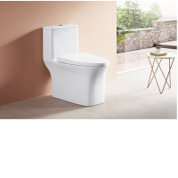 ARROW箭牌卫浴喷射虹吸家用连体坐便器AB1606