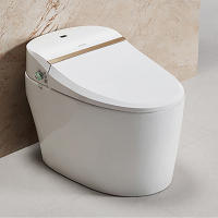 ARROW箭牌卫浴智能马桶一体式自动冲洗暖风烘干无水箱智能坐便器AKB1033