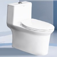 ARROW箭牌卫浴马桶虹吸节水缓降坐便器AX1301