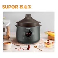 苏泊尔(SUPOR) 电炖锅 4L多功能电炖盅 可预约炖汤锅 热水快炖煲汤锅 煮粥锅 优质紫陶内胆 DG40YC36
