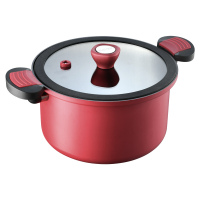 苏泊尔(SUPOR)微压汤锅抗菌不粘锅家用电磁炉燃气灶双耳炖锅高压力锅蒸锅复底加厚炖锅电磁炉通用ET22MAP01
