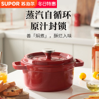 苏泊尔(SUPOR)炖锅铸铁锅家用珐琅汤锅加厚炖盅砂锅生炖锅煲汤锅具通用焖烧锅不粘锅煮锅 22cm ET22MF01-R