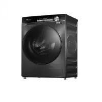Littleswan/小天鹅 TG100SC81
