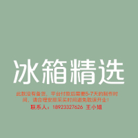 3.0专用室内logo 200H发光字-冰箱精选-大师兄标识