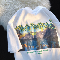 秋壳国潮街头风景图案印花短袖T恤女2022新款夏季百搭宽松上衣潮