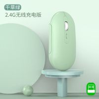[iPad也能用]奎木狼蓝牙无线鼠标静音男女生充电适用台式笔记本 千草绿 2.4G单模充电版[送鼠标垫]