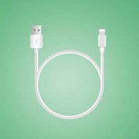 0.25米充电宝数据线适用苹果x手机0.5米pro便携6短线iPhone11快充 快充版 白色1条 0.25米