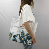 2021年夏新款潮流小清新单肩帆布包包女大学生装书手提手拎包加厚 热带植物