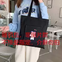 帆布包女学生双肩背书包学院风韩版单肩斜跨手提儿童补课帆布袋子 SJDJ帆布包 普通款